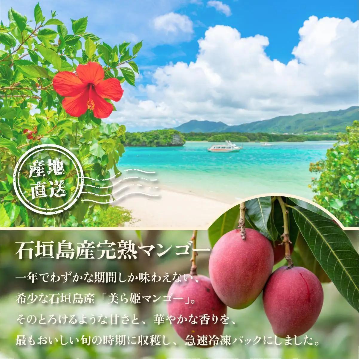 冷凍美ら姫マンゴー 2kg（500g×4袋）CB-4