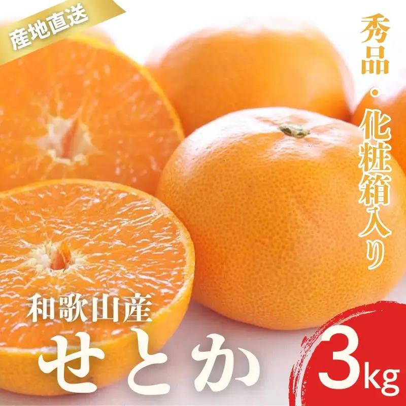 【先行予約】秀品 せとか 和歌山 有田 化粧箱 M～4Lサイズ 大きさお任せ 3kg【2月上旬～3月下旬頃に順次発送】/ みかん フルーツ 果物 くだもの 蜜柑 柑橘【ktn013A】