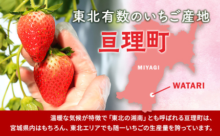 亘理町のいちご もういっこ 250g×4パック 仙台いちご イチゴ