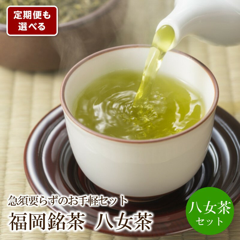 【ふるさと納税】＼選べる定期便！／福岡銘茶八女茶　急須要らずのお手軽セット 緑茶 ティーバック 粉末 八女茶 お湯を注ぐだけ ふるさと納税 定期便