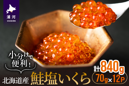 小分けで便利！鮭塩いくら(70g×12)[02-1062]