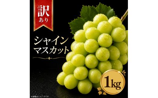 【 先行予約 】 訳あり シャインマスカット 約 1kg ＜出荷時期：2026年8月上旬～9月下旬頃＞ ぶどう 葡萄 マスカット フルーツ 果物 ゼリー ジュース アイス デザート スイーツ ケーキ グルメ 人気 おすすめ 甘い 送料無料 三木ぶどう園 徳島県 阿波市