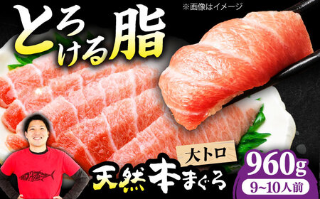 たね熟天然本まぐろ大トロ(960g)[AOCE008]まぐろ