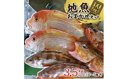 
            518　地魚おまかせセット　4～5種類入り計3.5kg以上
          