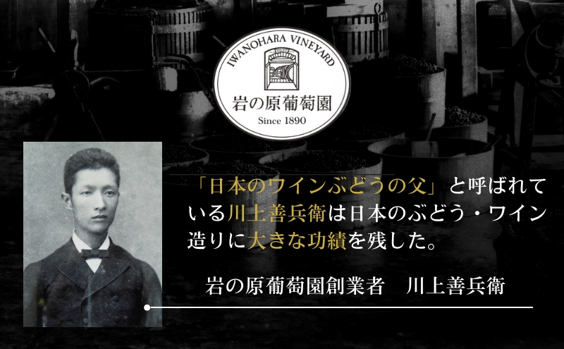 ワイン 岩の原スパークリングワイン ロゼ1本 マスカット・ベーリーA （750ml） 酒 ギフト 新潟 上越