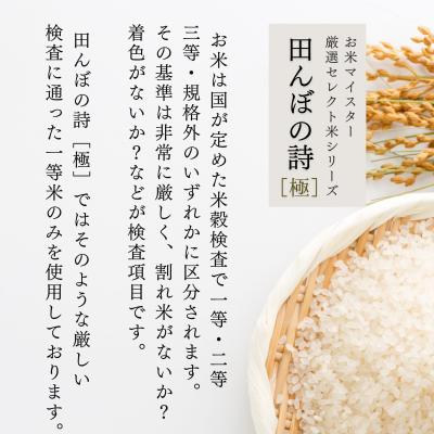 ふるさと納税 東広島市 【定期便】 令和7年産　広島県産 お米マイスター厳選米  【出荷直前精米】 15kg(5kg×3回) |  | 02