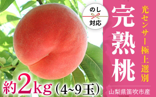 ＜25年発送先行予約＞笛吹市産こだわりの桃 約2.0kg(4～9玉) 常温 090-010