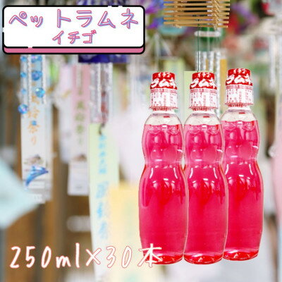 【ふるさと納税】ペットラムネ イチゴ(250ml×30本)【1598130】