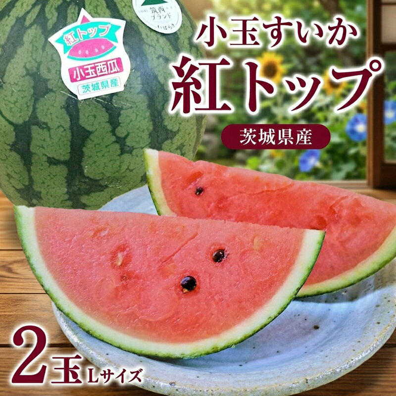 【ふるさと納税】【 先行予約 】 希少品種 「 紅トップ 」 茨城県産 小玉 スイカ すいか 選べるサイズ 2玉 L 1玉 2L 2玉 2Lサイズ