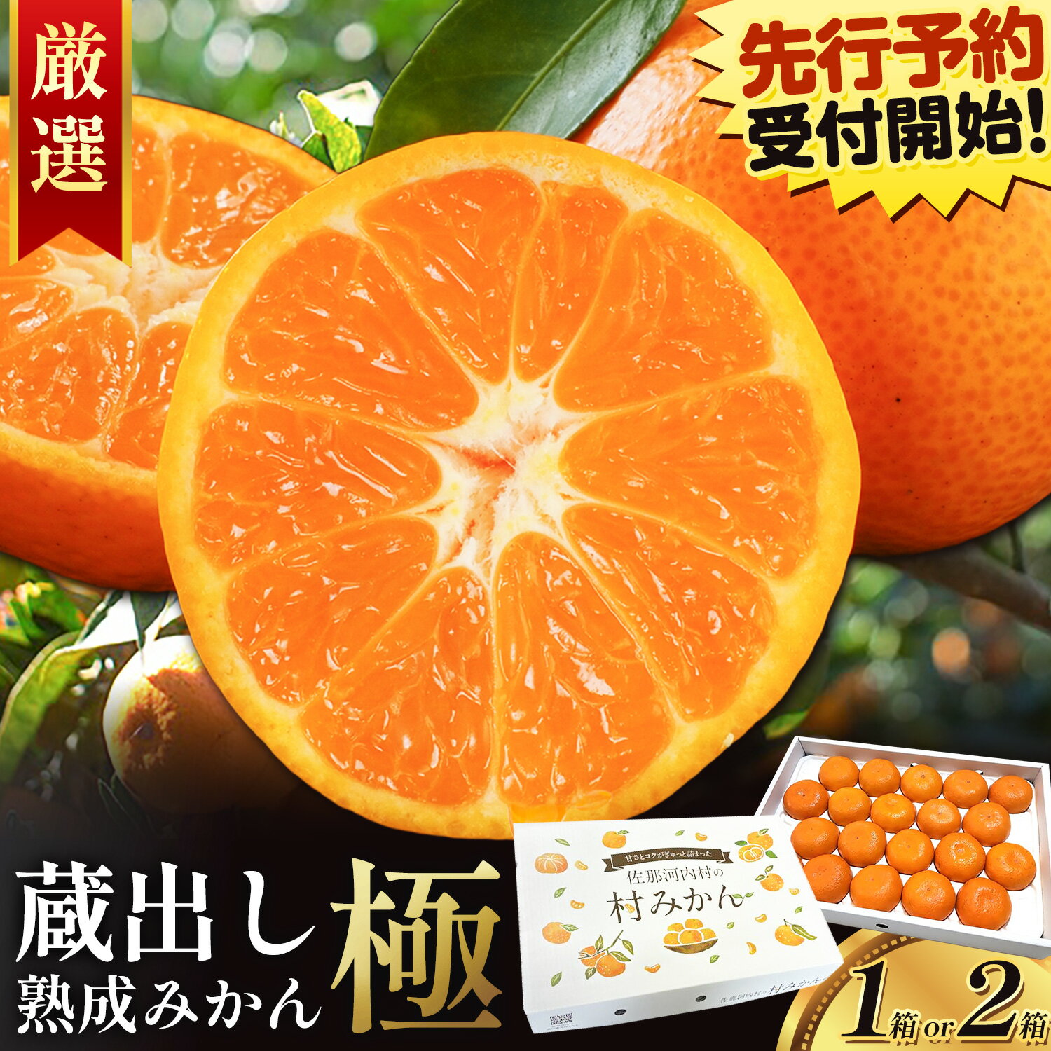 【ふるさと納税】極 みかん ミカン 蜜柑 mikan 熟成みかん 蔵出し 貯蔵 冬みかん 柑橘 佐那河内 濃厚 甘い フルーツ 果物 化粧箱 贈答 ギフト お歳暮 手土産 "冬を越して甘みが凝縮。熟成みかん『極』" 徳島県佐那河内村産 1箱 2箱 S M L《2月中旬-3月上旬頃出荷予定》