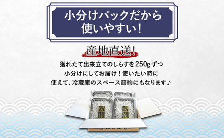 釜揚げ しらす 1kg 国産 徳島県産 和田島産 とれたて 新鮮 産地直送 冷蔵 発送 小分け 250g 4袋 セット 和田島しらす ちりめん 魚介類 魚 小魚 【北海道・東北・沖縄・離島への配送不可