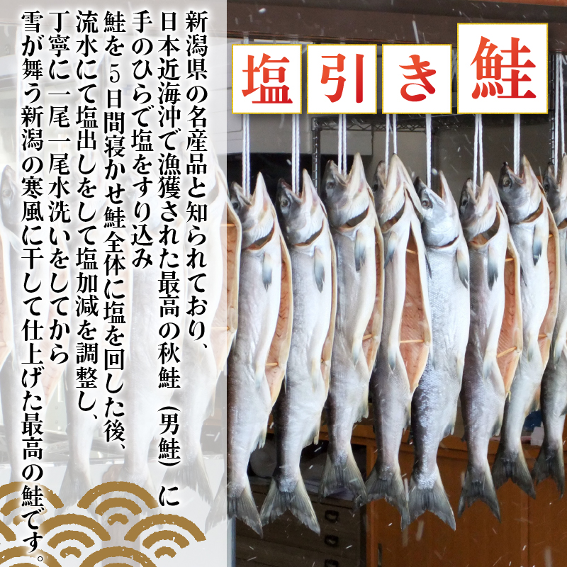 鮭 半身 切り身 約900g 塩引き鮭 冷凍 個包装 国産 【 魚 さかな 海産物 食品 小分け 真空パック 惣菜 お酒のあて  塩引き 鮭 半身 切り身  贈答 ギフト 佐々木食品  新潟 新発田 