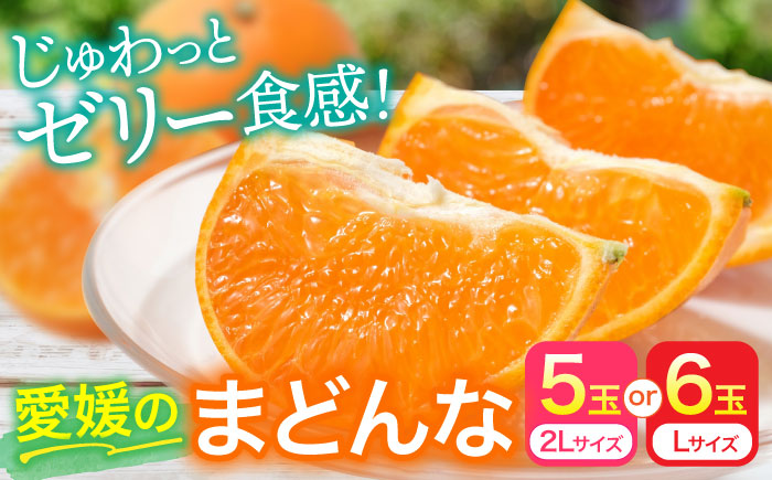 【先行予約】【11月下旬から順次発送】愛媛県産 峯田農園のとろける宝石柑橘「まどんな」2Lサイズ5玉又はLサイズ6玉　愛媛県大洲市/峯田農園 [AGBT007]オレンジ フルーツ みかん ミカン 果物 スムージー デザート おやつ ヨーグルト 調味料 ドレッシング 料理