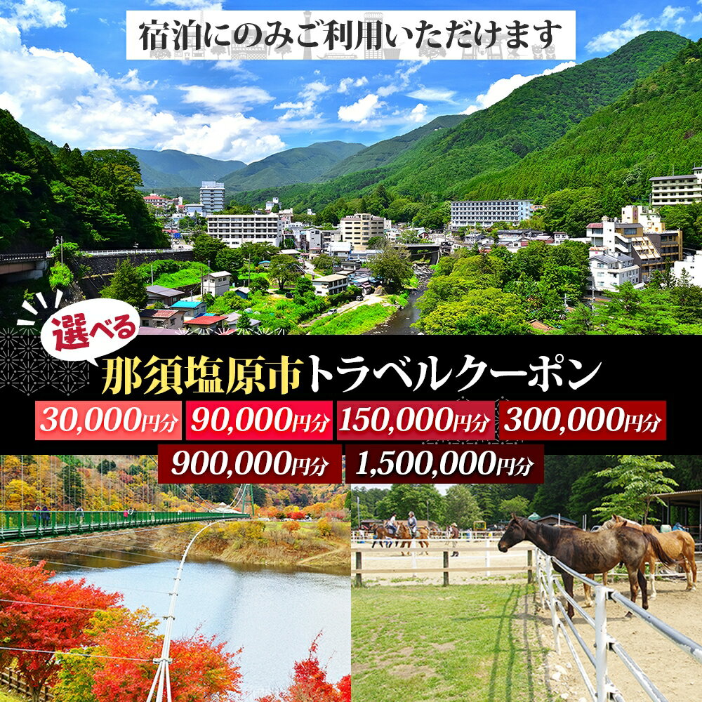 【ふるさと納税】 【選べるクーポン券】那須塩原市 後から選べる旅行Webカタログで使える！ 旅行クーポン 旅行券 宿泊券 栃木県 那須塩原市 宿泊 旅行 チケット ワンちゃん 犬連れ 温泉 ビジネス ホテル 宿 トラベル ファミリー 家族旅行 送料無料
