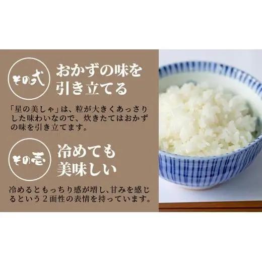 石垣島産 星の美しゃ（ほしのかいしゃ）20kg（5kg×4袋）　MK-5