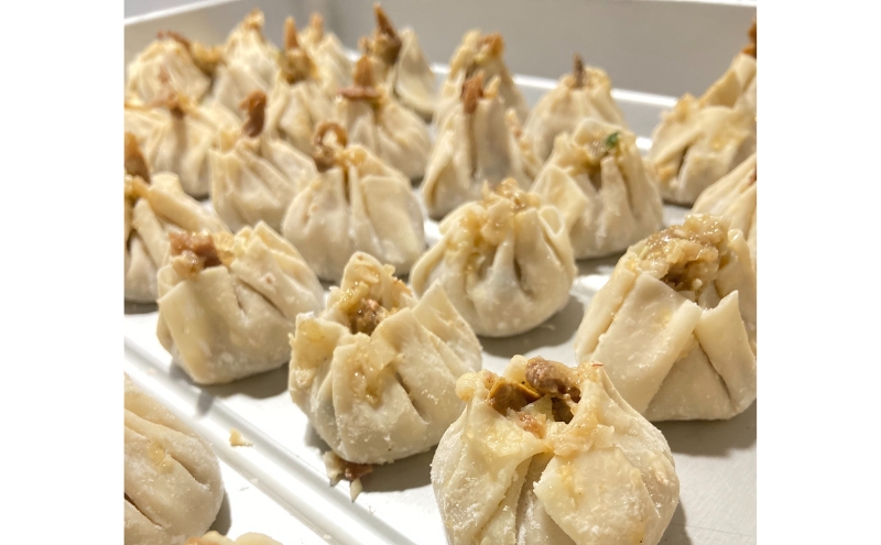 浜松餃子 うなぎパワー餃子 60個（10個入×6袋） 【配送不可：離島】 餃子 ぎょうざ 冷凍 惣菜 冷凍餃子 新感覚 お酒が進む ご飯が進む 岩塩 うなぎスープが溢れ出す 贅沢 肝の歯ごたえ
