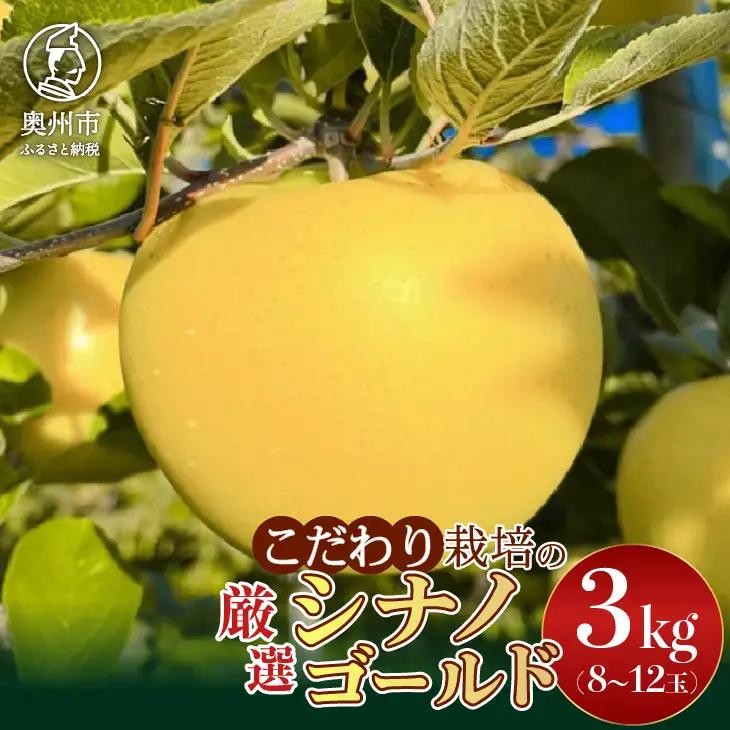 【スターファーム】 こだわり栽培 「シナノゴールド」 厳選品 約3kg 岩手県奥州市産 産地直送 [AY008]
