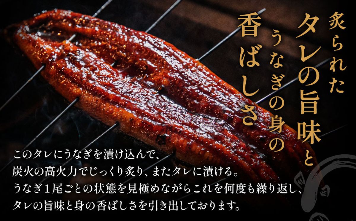 うなぎ蒲焼き1尾セット(約250g×1尾セット)【魚住商店】_HA1963 うなぎ 鰻 蒲焼 真空パック 福岡県宗像市 宗像市 福岡 宗像