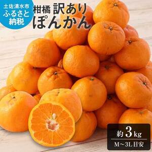 【訳あり】ぽんかん３kg（谷川果樹園）デコポンの親 みかん 蜜柑 ミカン 不知火 しらぬい 柑橘 かんきつ ポンカン フルーツ オレンジ 果物 くだもの 果汁 甘い【R01375】