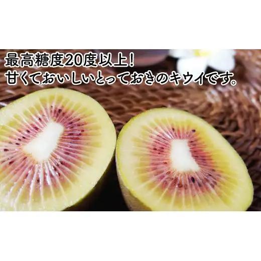 ＜10月下旬以降発送＞【ぽぽ農園】レインボーレッドキウイ（四国中央市産レインボーレッド） M サイズ 約850g（9個～11個）