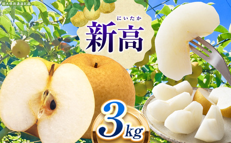 【ふるなびWEEK対象】栃木県産 なし 梨 新高 3kg 9～10月発送予定 | お取り寄せ 果物 くだもの フルーツ 梨 なし プレゼント ご褒美 甘い 贈答 秋 大きい 高評価 ナシ 8月 9月 10月 栃木県 真岡市 送料無料 栃木県共通返礼品 FN-Limited