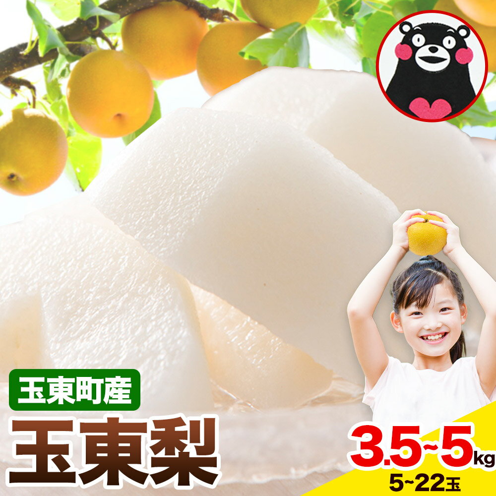 【ふるさと納税】【先行予約】梨 玉東梨 3.5kg 5kg 《8月下旬-11月中旬頃より出荷》 熊本県 玉名郡 玉東町 なし 果物 スイーツ フルーツ 秋 旬 幸水 あきづき 豊水梨 新高梨 新興梨 甘太 秋麗梨 あたご梨
