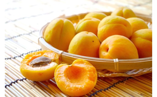 【2026年先行予約】長野県千曲市産 加工用(訳あり)生あんず 5kg | 果物 フルーツ 杏子 アンズ アプリコット 千曲市 長野県 信州