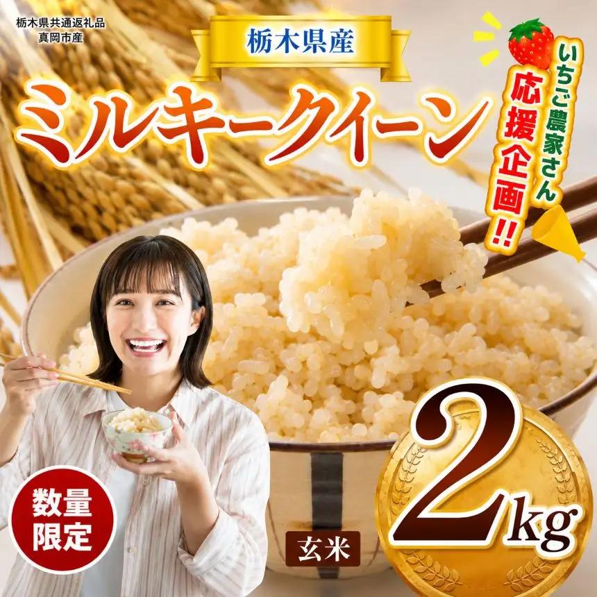 先行予約 令和8年度産 栃木県産ミルキークイーン 2kg | 【栃木県共通返礼品】数量限定ミルキークイーン  玄米 米 ごはん 玄米密閉パック ふるさと納税 那珂川町 栃木県