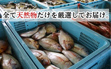 下処理済み 天然魚・切り身・アラセットA タレ付き 岬だより 