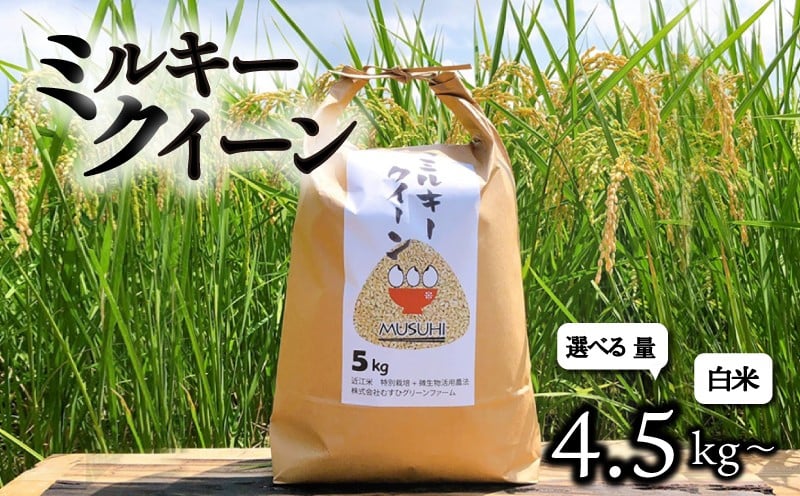 
            【令和7年産先行受付】 選べる容量 ミルキークイーン 約4.5kg 約9kg 白米 令和7年産 新米 精米 こめ コメ お米 ご飯 米 ミルキークイーン ミルキークィーン 先行受付 令和7年 滋賀 彦根
          
