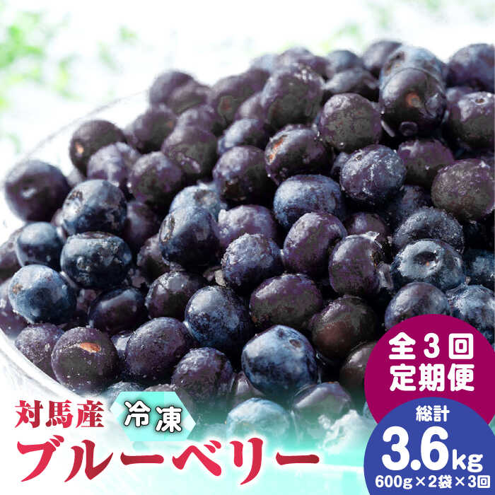 【ふるさと納税】【先行予約】【全3回定期便】大容量 対馬産 ブルーベリー （ 冷凍 ） 1.2kg【 さほの里ファーム 】《 対馬市 》 離島 対馬 有機肥料 旬 果物 フルーツ[WBG002]