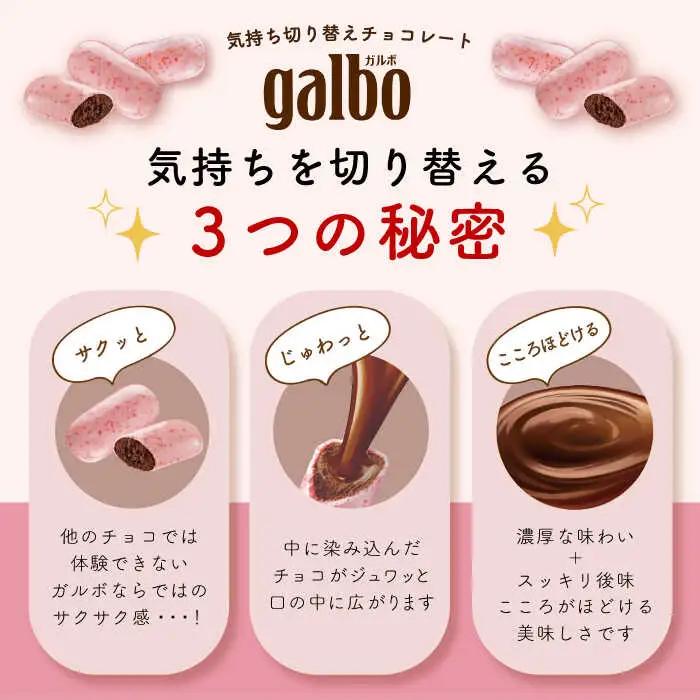 ガルボつぶ練り苺パウチ 48袋[AOAA029] チョコレート お菓子