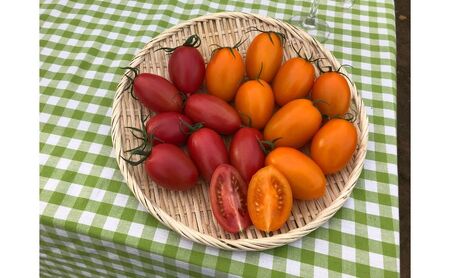 湘南・茅ヶ崎自慢のトマトの味わいが楽しめる　野崎農園　湘南ポモロンジュースセット　180ml　6本（レッド3本×ゴールド3本） 果汁飲料 野菜飲料 トマトジュース 
