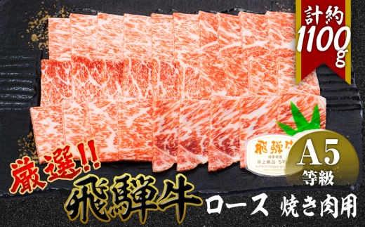 店主こだわり雌牛 飛騨牛A5等級　ロース　焼き肉用　約1.1kg [No.085] ／ 牛肉 ブランド牛 やきにく 焼肉 メス牛 冷凍 岐阜県 特産