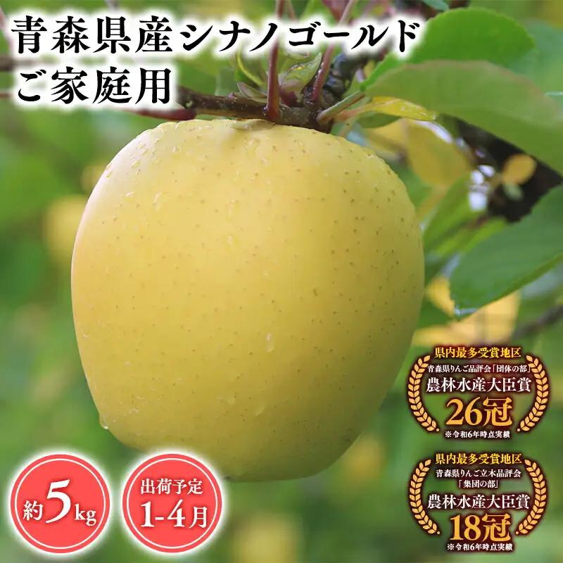 りんご 家庭用 シナノゴールド5kg りんご