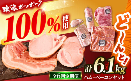 【6回定期便】 ハム・ベーコン ブロック セット 瑞浪ボーノポーク 6.1kg (冷凍) 瑞浪市 / きなぁた瑞浪 詰め合わせ ギフト[AZCI114]