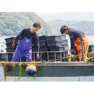 ふるさと納税 長崎市 タイドメ 8.0mm 長崎産アコヤ真珠(flows) |  | 02