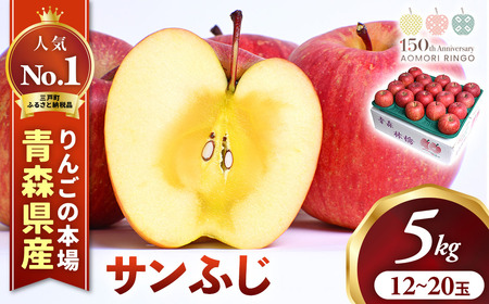 青森県産りんご サンふじ 約5kg 12月中旬～ りんご