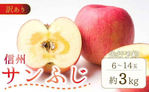 【2025年先行予約】訳あり りんご サンふじ 約3kg (6～14玉) | 果物 フルーツ 長野県産 千曲市 信州