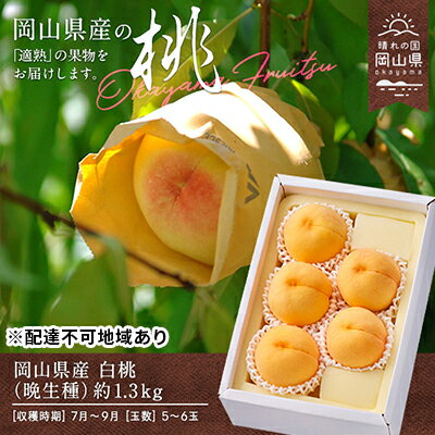 先行予約 白桃 晩生種 約1.3kg 5〜6玉
