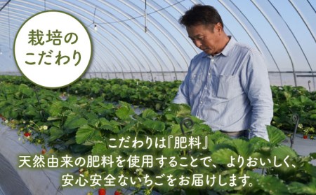 【先行予約 2027年5月～発送】【贅沢赤白食べ比べ】白石産冷凍いちご（さがほのか・パールホワイト）750g / いちご  [IAQ003]