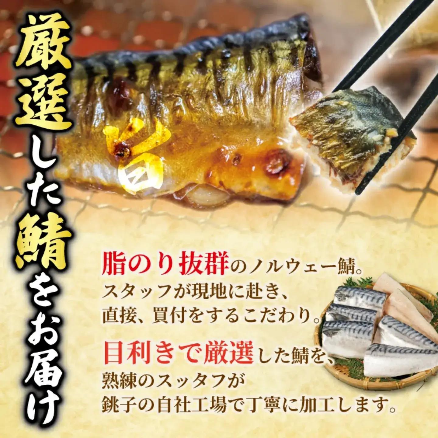 訳あり 塩鯖 500g 鯖