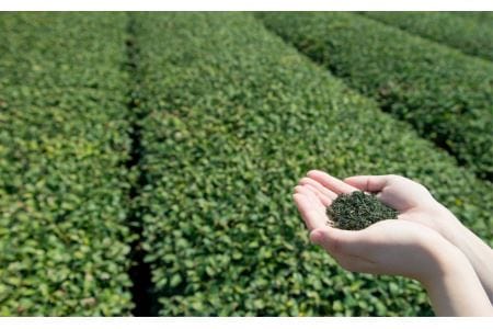 有機緑茶を飲み比べ!髙橋製茶の「みのりの茶」ギフトセット