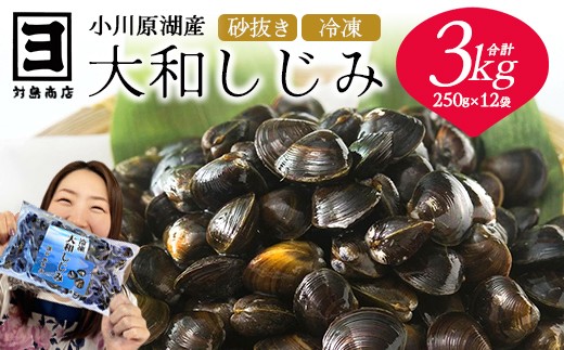 砂抜き済みで手間いらず！冷凍・小川原湖産大和しじみ3kg（250g×12袋）　【02408-0086】