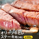 【ふるさと納税】【父の日】オリーブ牛ヒレ ステーキ用3枚 500g　【観音寺市】　お届け：6月16日までにお届けいたします。