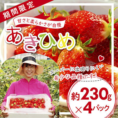 「内山いちごの国」のいちご4パック入り【配送不可地域：離島】【1346272】