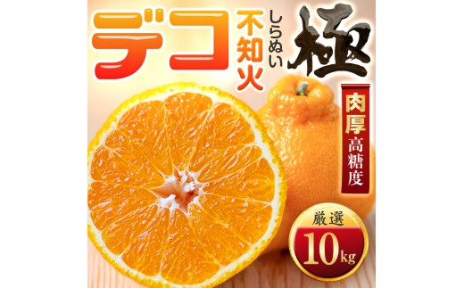 ＜太陽をたっぷり浴びた＞デコ(不知火)＜極＞10kg＜H49-47＞【1509744】 YWTZ039
