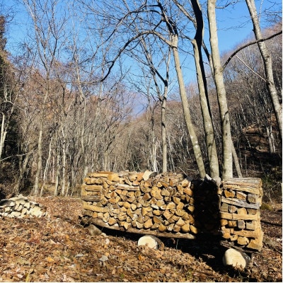 林業芸術社　2年乾燥薪(広葉樹約45cm /約10kg分/中割り〜)御代田町面替【1702604】