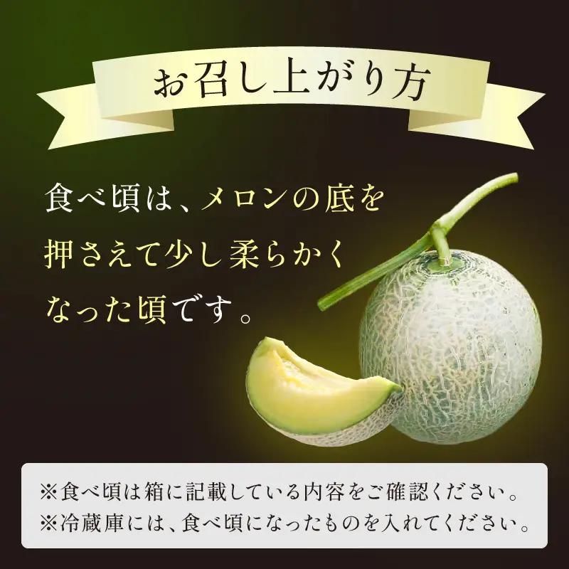 【メロン】 砂丘メロン 2L以上 2玉 【大玉】