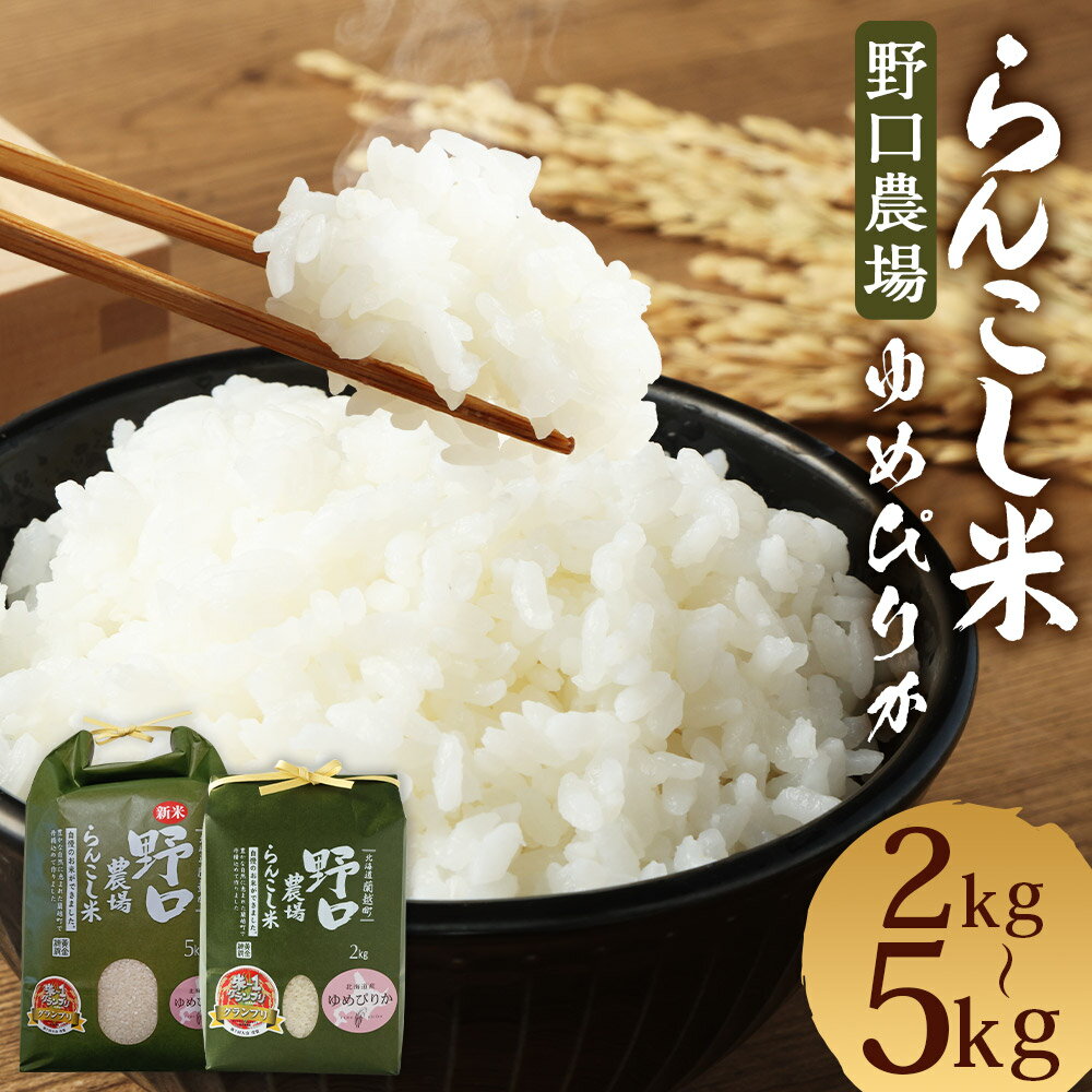 【ふるさと納税】〈令和7年産〉 らんこし米 ゆめぴりか 2kg/5kg【野口農場】選べる内容量 お米 精米 白米 ゆめぴりか 令和7年産 蘭越町産 北海道産 送料無料